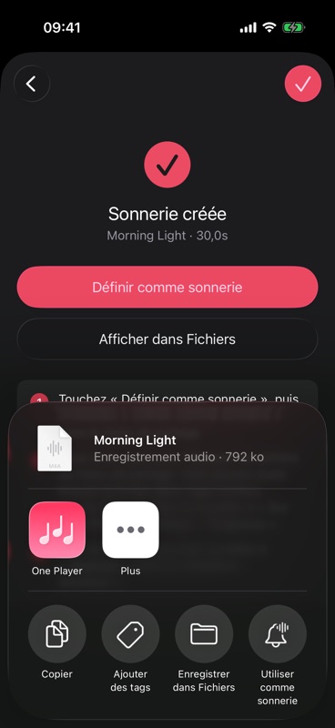 Choisir « Utiliser comme sonnerie » dans le menu de partage